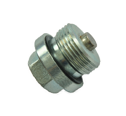 F3082-B2 Hex.Head Screw Plugs With ED Ring and Magnet